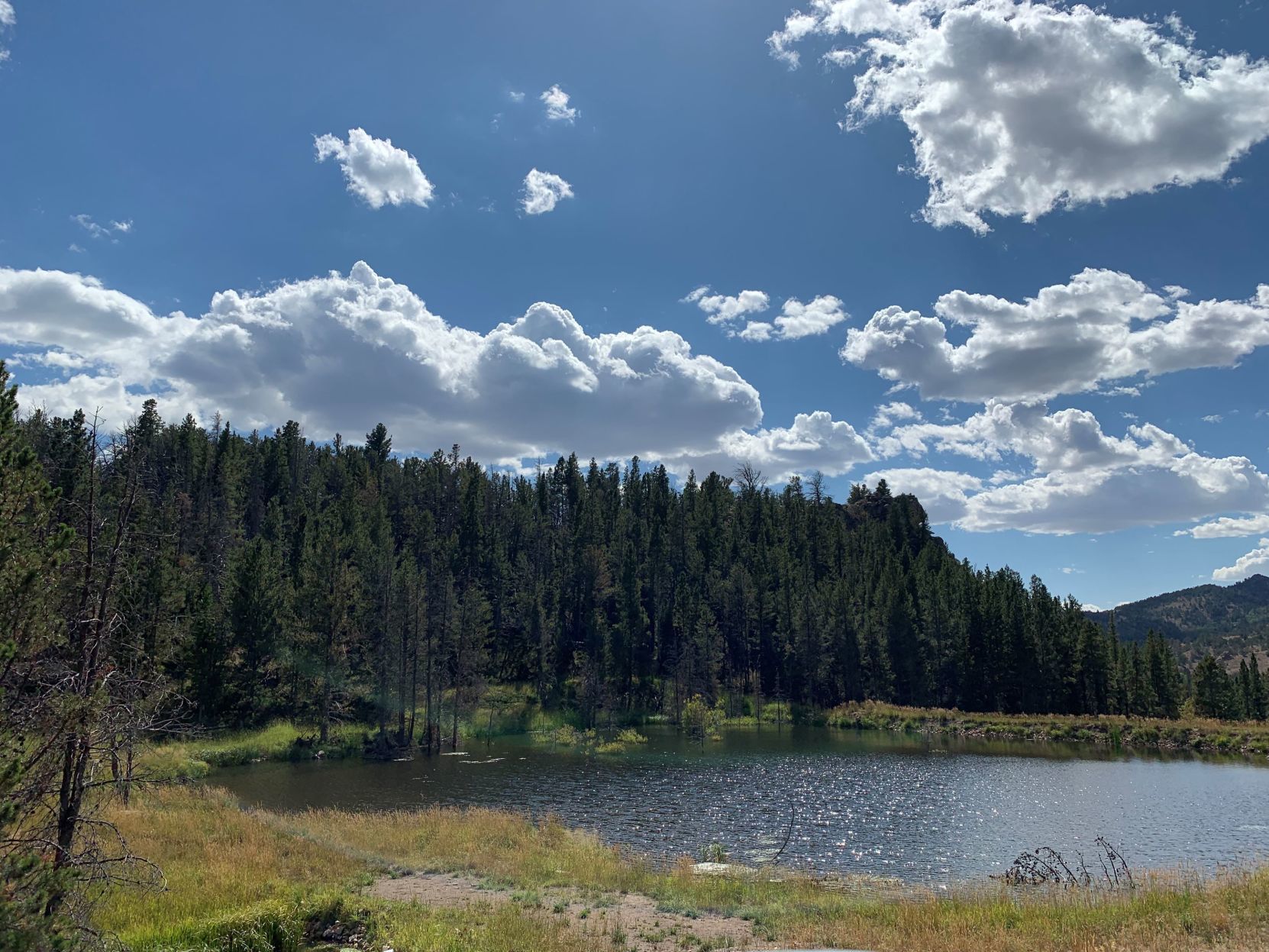 Summer day in Wyoming